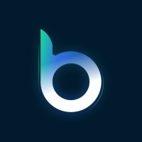 Boopro Technology logo - Similar company to Socialectric