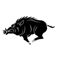 VERRACO logo - Similar company to Veco