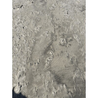 Services Group logo - Similar company to Current Training (Qld) Pty Ltd