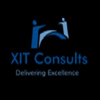 Xit Consults