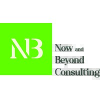 Now and Beyond Consulting logo - Similar company to Wethink Human Talent