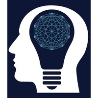 The Insightful Group logo - Similar company to Doublecheck Solutions