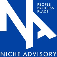 Niche Advisory logo - Similar company to Project Control Group
