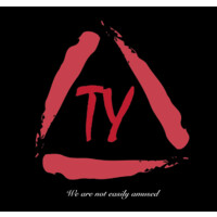 Tyflux logo - Similar company to Platinum Digital Inc.