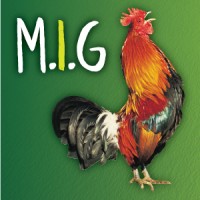 Making I.T. Green logo - Similar company to Bentham Ltd