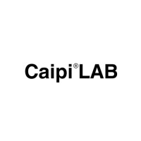 CAIPI logo - Similar company to Discobolo