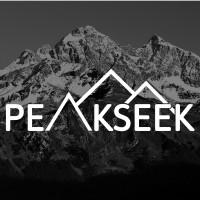PeakSeek logo - Similar company to Carter Wahlberg
