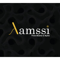 Lamssi logo - Similar company to Boss Informatics