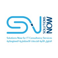 Solutions Now logo - Similar company to Solutionnow Consultancy