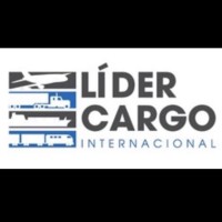 Lider Cargo Internacional logo - Similar company to Vicari Import & Export
