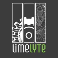 Limelyte Technology Group, Inc. logo - Similar company to Intellitect