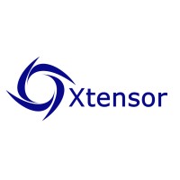 Xtensor Systems logo - Similar company to Xtensors Professional Services
