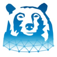 Bear Managed Systems