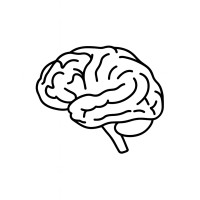 BrainWave Analytics logo - Similar company to Tekzys