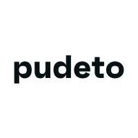 Pudeto logo - Similar company to Visualio