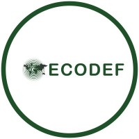 ECODEF logo - Similar company to Cnt Mag