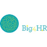 Big 4 Human Resources