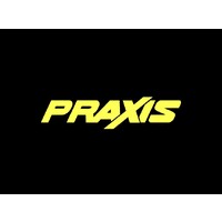 Praxis Physical Therapy Bellingham logo - Similar company to Praxis Physical Therapy