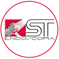 ST Endoscopia logo - Similar company to Arthimed