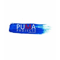 Puma Projects logo - Similar company to Reliance Projects Inc