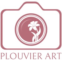Plouvier Art LLC logo - Similar company to Golden'S Pro-Wash & Windows