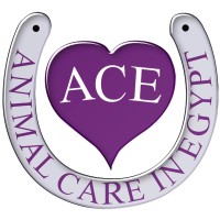 Animal Care in Egypt logo - Similar company to Digitalpainting.School