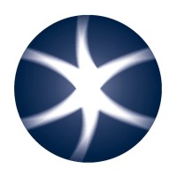 Network Pioneers logo - Similar company to Telnetworks