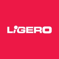 Ligero Systems Pvt. Ltd. logo - Similar company to Ebtl