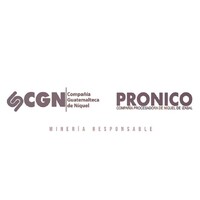 PRONICO logo - Similar company to Solway Energy (Pvt.) Limited