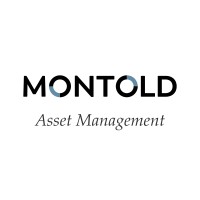MONTOLD Asset Management logo - Similar company to Montold Group
