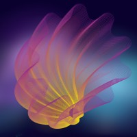 LateBloomer Media™ logo - Similar company to Macro Media Source
