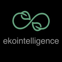 ekoIntelligence logo - Similar company to Arete Data & Analytics