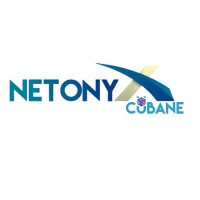 Netonyx IT Solutions logo - Similar company to Cubane Solutions (Sweden,India)