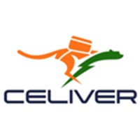 Celiver Ltd logo - Similar company to Teknikality