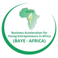 BAYE Africa logo - Similar company to Smartnpo