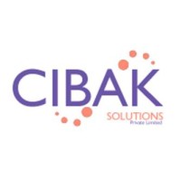 CIBAK Solutions logo - Similar company to It22  B.V.