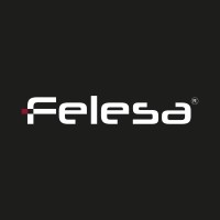Felesa Churrasqueiras logo - Similar company to Datapack Máquinas