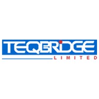 Teqbridge Limited logo - Similar company to Testamy