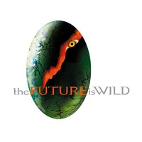 The Future Is Wild Limited logo - Similar company to Sonic Gate
