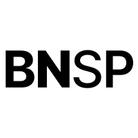 BNSP logo - Similar company to Nvtl