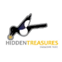 HiddenTreasures.be logo - Similar company to Businet Network