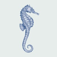 Blue Bar1 logo - Similar company to Goesting