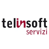Telinsoft Servizi srl logo - Similar company to Palladio Web