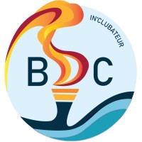 BDC Audencia Bachelor (Bureau des Clubs) logo - Similar company to Next - Bachelor Polytechnique