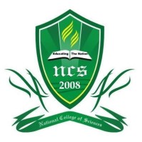NCS University System logo - Similar company to Megsolve