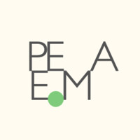 PeaEm logo - Similar company to The Mentoring Partnership Of Sw Pa