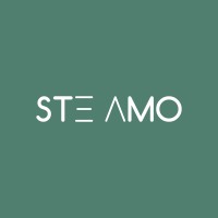 STE AMO logo - Similar company to Beming Engineering