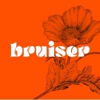 Bruiser logo - Similar company to Fancy