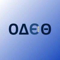 Association for International & European Affairs | ΟΔΕΘ logo - Similar company to Ministry Of Foreign Affairs Of The Hellenic Republic