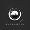 Gargantua Solutions Ltd logo - Similar company to Ntechnologies.Ae